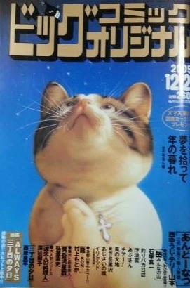 Cover of No. 24, 2005