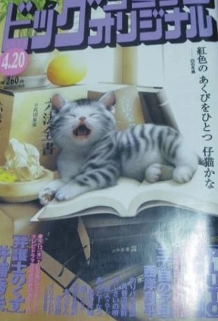 Cover of No. 8, 2006