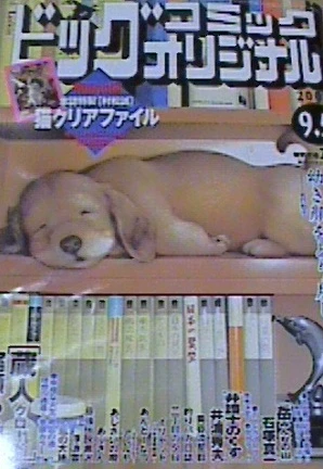 Cover of No. 17, 2006