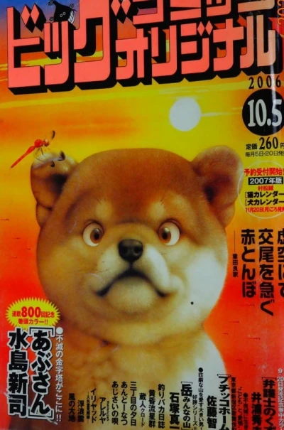 Cover of No. 19, 2006