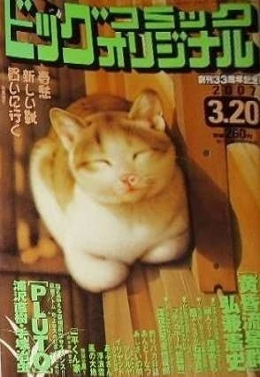 Cover of No. 6, 2007