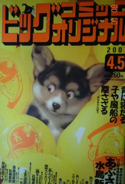 Cover of No. 7, 2007