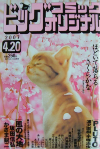 Cover of No. 8, 2007