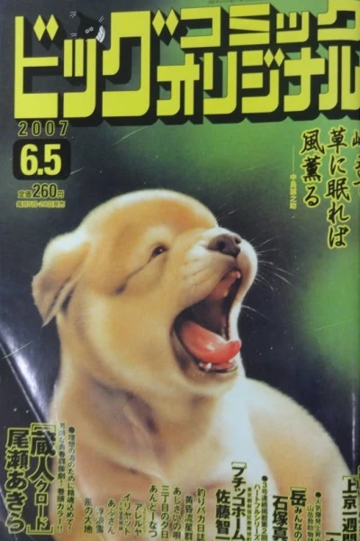 Cover of No. 11, 2007