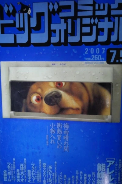 Cover of No. 13, 2007