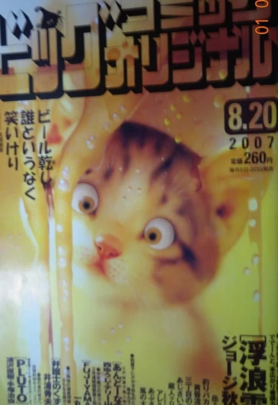 Cover of No. 16, 2007