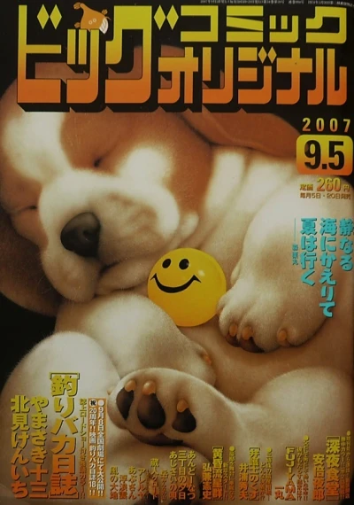 Cover of No. 17, 2007