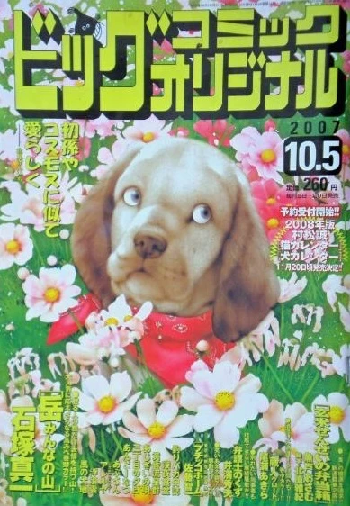 Cover of No. 19, 2007