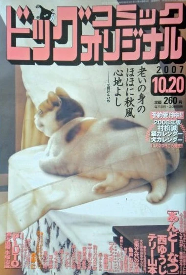 Cover of No. 20, 2007