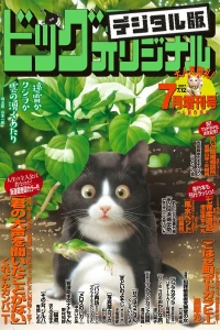 Issue #1295