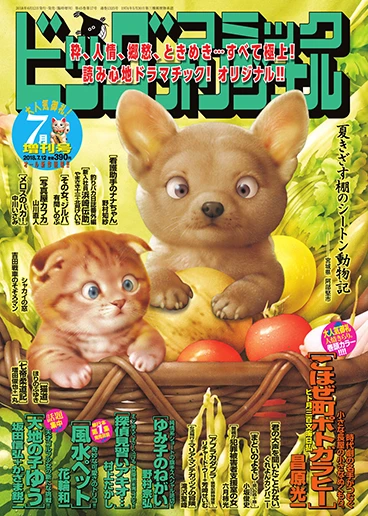 Cover of Volume #1325