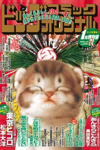 Issue #1370