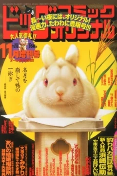 Volume #1242