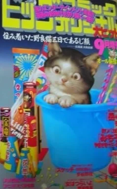 Cover of Volume #906