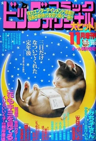 Cover of Volume #911