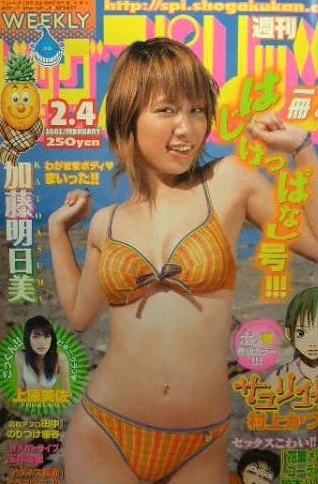 Cover of No. 8, 2002