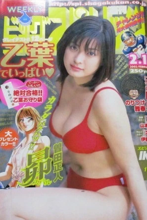 Cover of No. 9, 2002