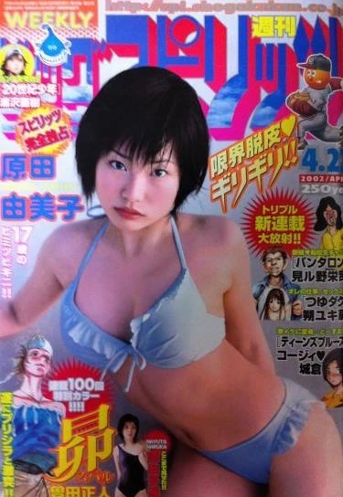 Cover of No. 19, 2002