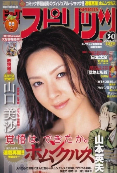 Cover of No. 30, 2006
