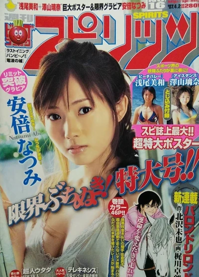 Cover of No. 16, 2007