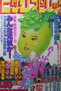 No. 11, 1981
