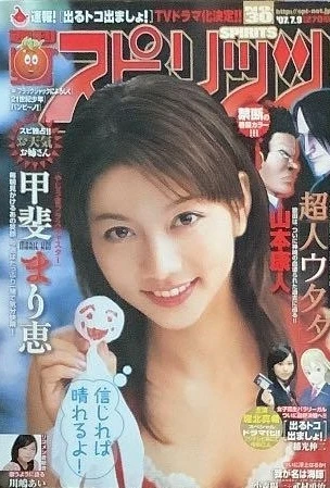 Cover of No. 30, 2007