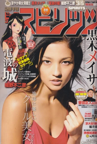 Cover of No. 35, 2007