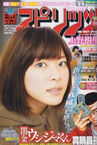 Cover of No. 11, 2008