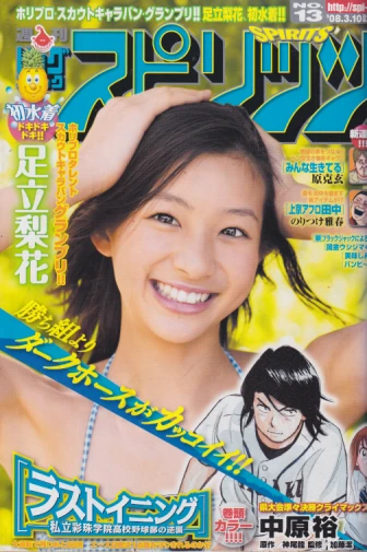 Cover of No. 13, 2008