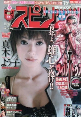 Cover of No. 17, 2008