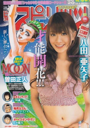 Cover of No. 20, 2008