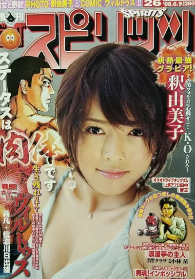 Cover of No. 26, 2008
