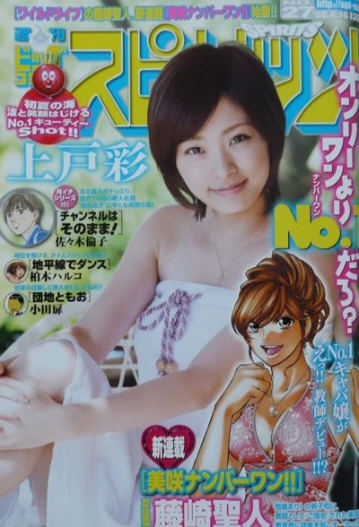 Cover of No. 27, 2008