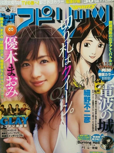 Cover of No. 30, 2008