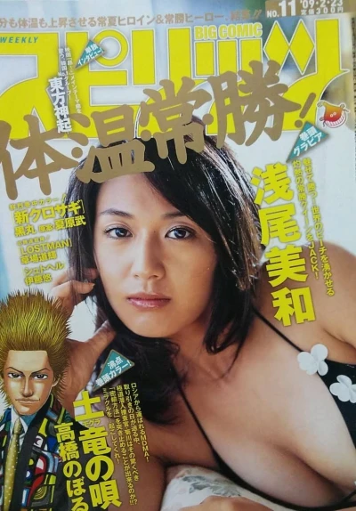 Cover of No. 11, 2009