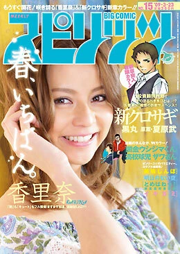 Cover of No. 15, 2009