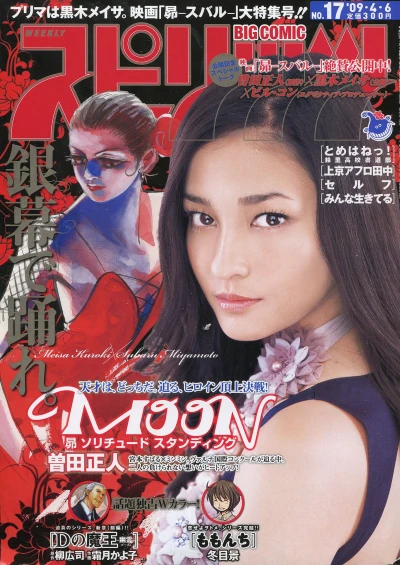 Cover of No. 17, 2009