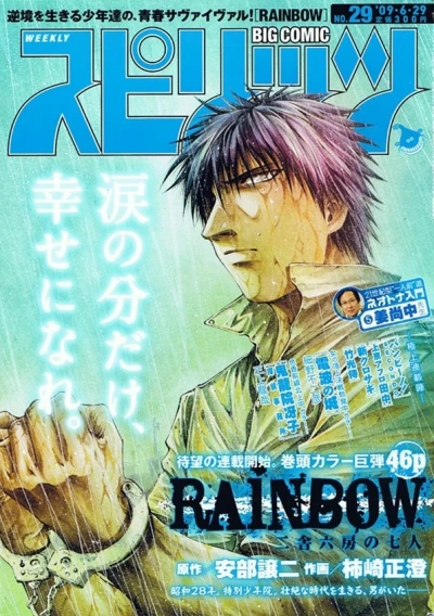 Cover of No. 29, 2009