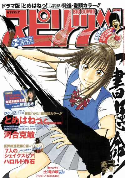 Cover of No. 5-6, 2010