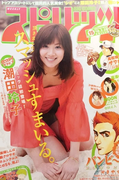 Cover of No. 15, 2010