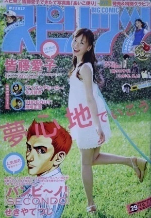 Cover of No. 29, 2010