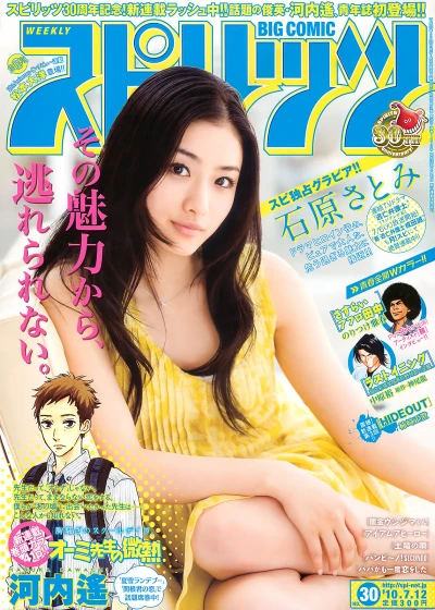Cover of No. 30, 2010