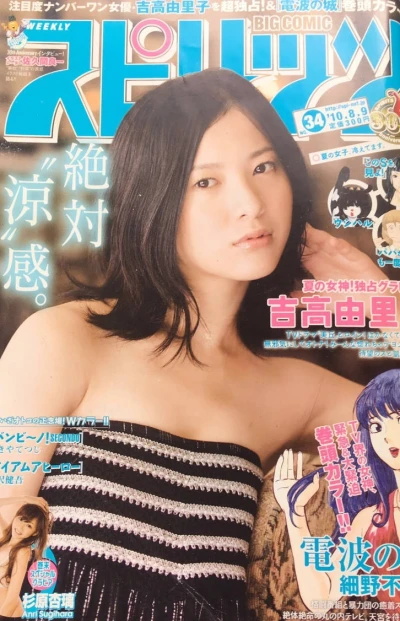 Cover of No. 34, 2010