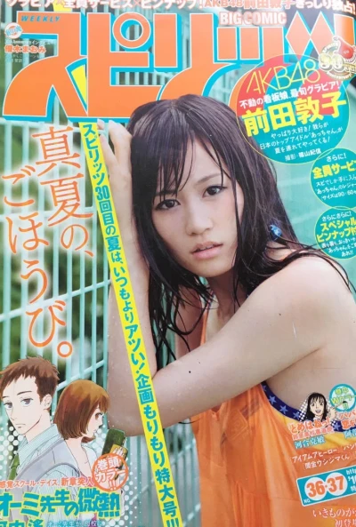 Cover of No. 36-37, 2010