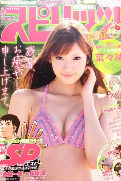 Cover of No. 39, 2010