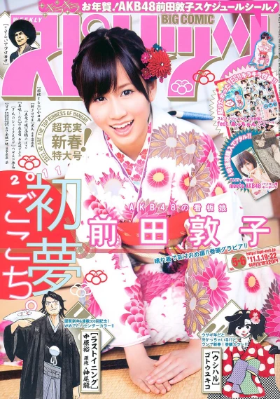 Cover of No. 5-6, 2011