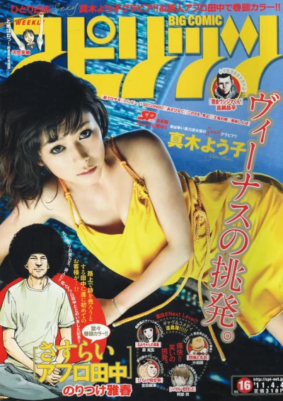 Cover of No. 16, 2011