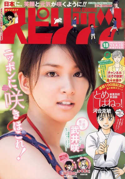 Cover of No. 18, 2011