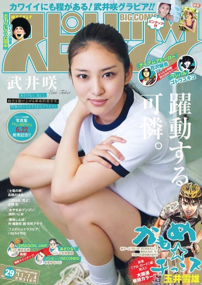 Cover of No. 29, 2011