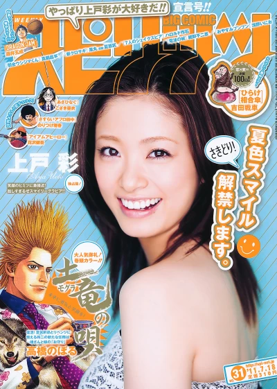 Cover of No. 31, 2011